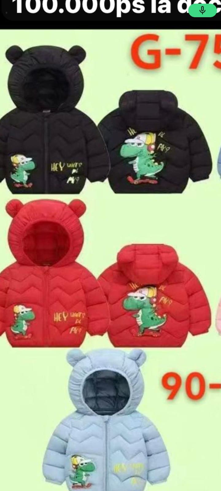 Campera BB acolchada dinosaurio